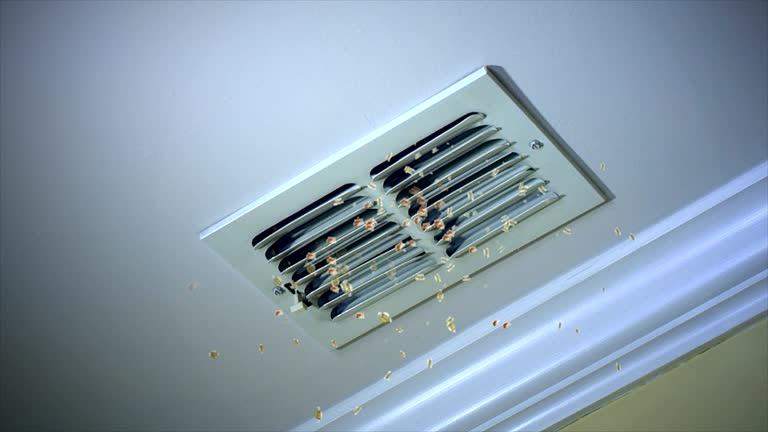 Best HVAC System Cleaning  in Tamalpais Homestead Valley, CA