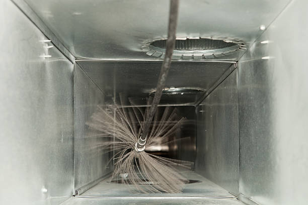 Best Affordable Duct Cleaning Services  in Tamalpais Homestead Valley, CA