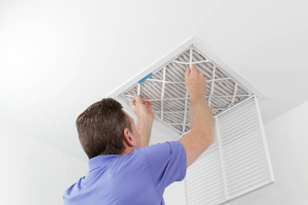 Best Home Air Vent Cleaning  in Tamalpais Homestead Valley, CA